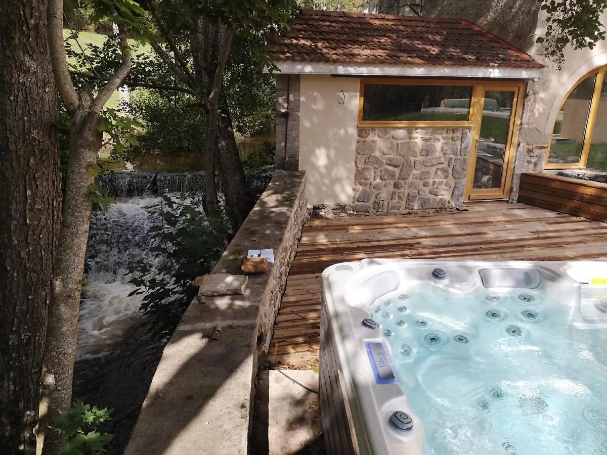 La Chapelle Moulin Traversee Par L'Eau Jacuzzi Piscine Classe 5 Etoiles Bourg-Argental Tatil Evi